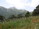 08. Zelengora